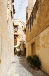 Similar image 2915883