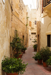 Similar image 2915902