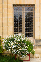 Similar image 2915923