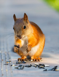 Similar image 2915953