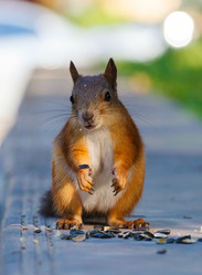 Similar image 2915954