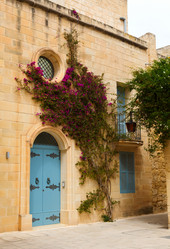 Similar image 2915960