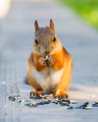 Similar image 2915965