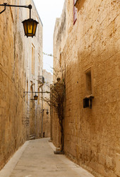 Similar image 2915974