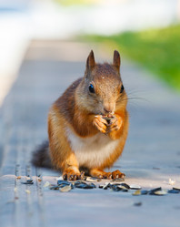 Similar image 2915984