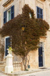 Similar image 2915985