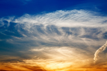 Similar image 2915991