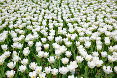 Similar image 2915994