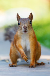 Similar image 2915997