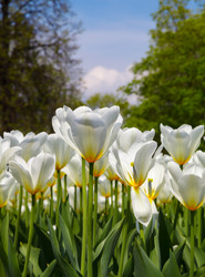 Similar image 2916006