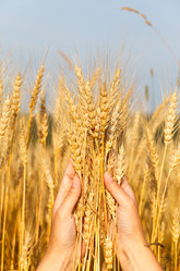 Similar image 2916015