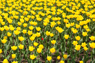 Similar image 2916017