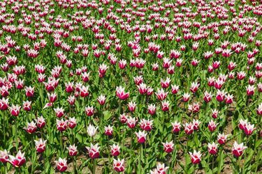 Similar image 2916018