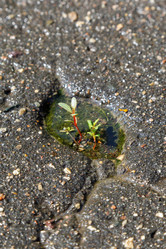 Similar image 2916023