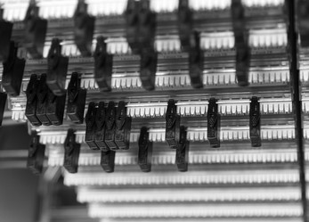 Similar image 2916037