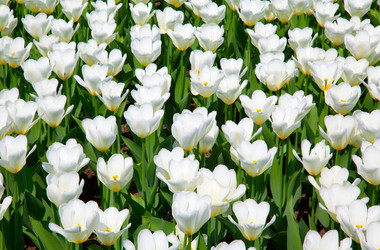 Similar image 2916051