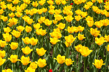 Similar image 2916052