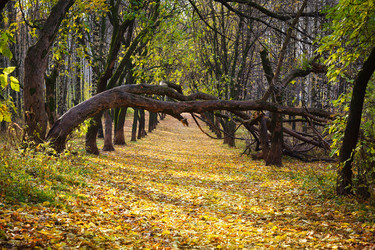 Similar image 2916058