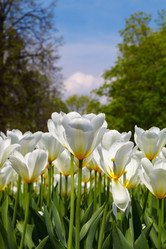 Similar image 2916065