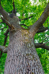 Similar image 2916087