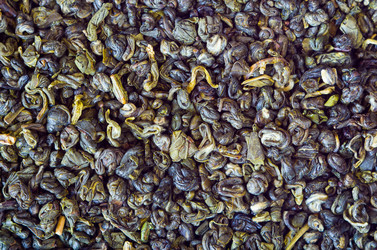 Similar image 2916155