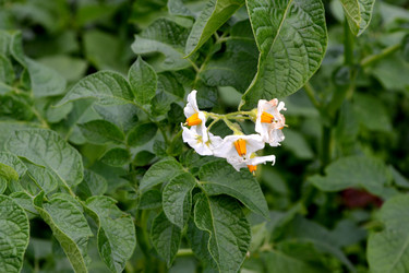 Similar image 2916158