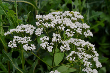 Similar image 2916160