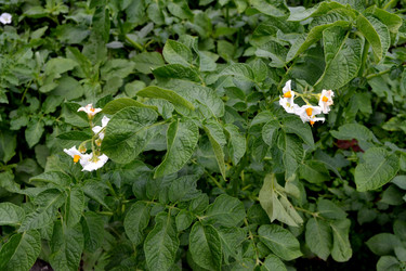 Similar image 2916161