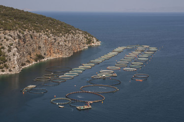 Similar image 2916227