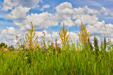 Similar image 2916263