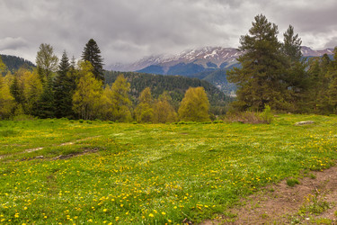 Similar image 2916265