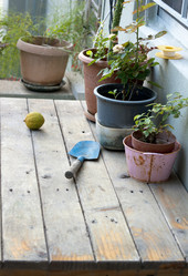 Similar image 2916290