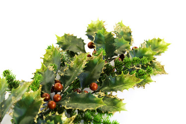 Similar image 2916303