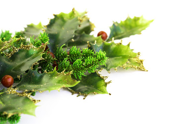 Similar image 2916318