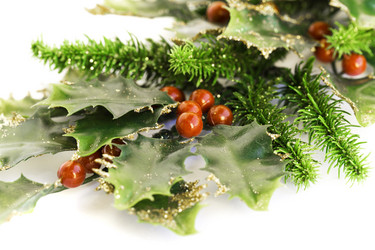 Similar image 2916321