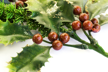 Similar image 2916324