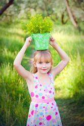 Similar image 2916328