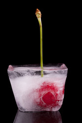 Similar image 2916540