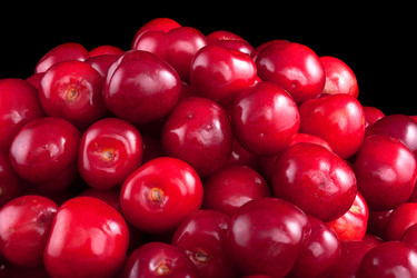 Similar image 2916542