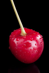 Similar image 2916545