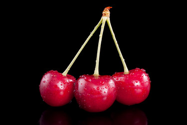 Similar image 2916546