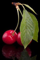 Similar image 2916547