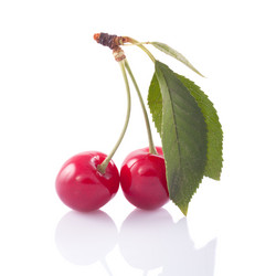 Similar image 2916551