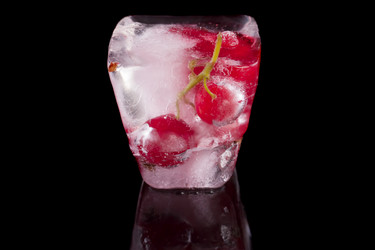 Similar image 2916582