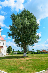 Similar image 2916741