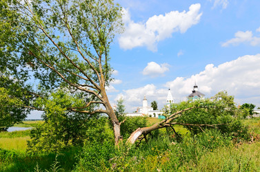 Similar image 2916761