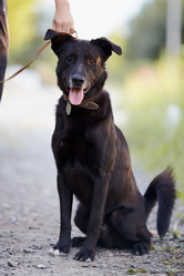 Similar image 2916810