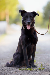 Similar image 2916811