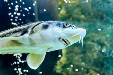 Similar image 2916827