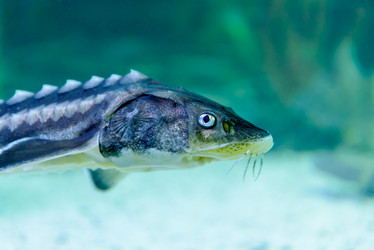 Similar image 2916828